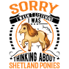 Poney Shetland Poney Shetland Shetty