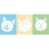 Feline Trio