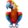 Macaw