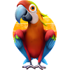 Macaw