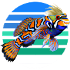 Poisson mandarin