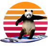 Panda Surfer