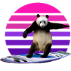 Panda Surfer