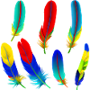 Parrot feathers