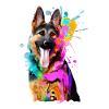 Splashes of colour German Shepherd
