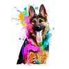 Splashes of colour German Shepherd