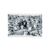 Sei anders - Schwarzes Schaf