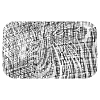 Zebra Afrika Safari