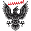 Black Raven Flying