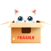 Fragile Kitten in Kawaii Box
