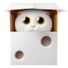 Chat mignon dans une boîte carton