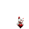 I have a cat