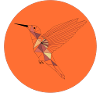 Kolibri orange