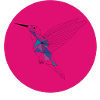 Kolibri pink