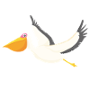 Pelican