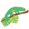 Caméléon