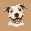 Amerikansk Staffordshire Terrier