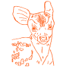 Fawn