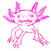 Axolotl