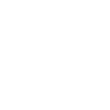 LIMITED EDITION 1963