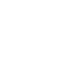 LIMITED EDITION 1966