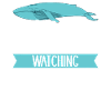 Whale Watchers