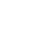 LIMITED EDITION 1969
