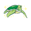 Turtle Turtle Aquatic turtle
