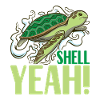 Turtle Turtle Aquatic turtle