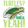 Turtle Turtle Aquatic turtle