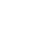 LIMITED EDITION 1971