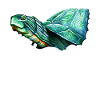 Turtle Turtle Aquatic turtle