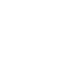 LIMITED EDITION 1975