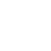 LIMITED EDITION 1973