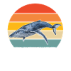 Whale Watchers