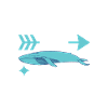 Whale Watchers