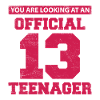 Official 13 Year Old Teenager Birthday Daughter 13