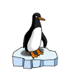 Cute Penguin