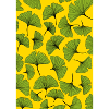 Ginkgo print
