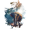 Elefant