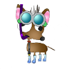 Abnoe Chihuahua