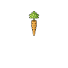 Carrot Vegetable heartbeat