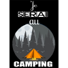 Night camping in the forest