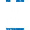 Züri 1896