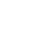 Fleurs Mandala