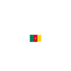 I'm a Cameroonian boy