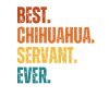 Best. Chihuahua. Servant. Ever.