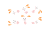 Yoga du lapin