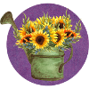 Sunflowers in a watering can