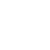 Wisdom L337 Leetspeak Saying